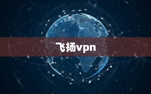 飞扬vpn