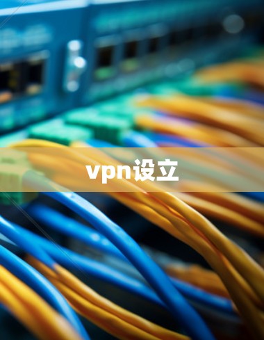 vpn设立