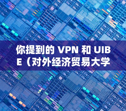 你提到的 VPN 和 UIBE（对外经济贸易大学）可能有以下几种关联