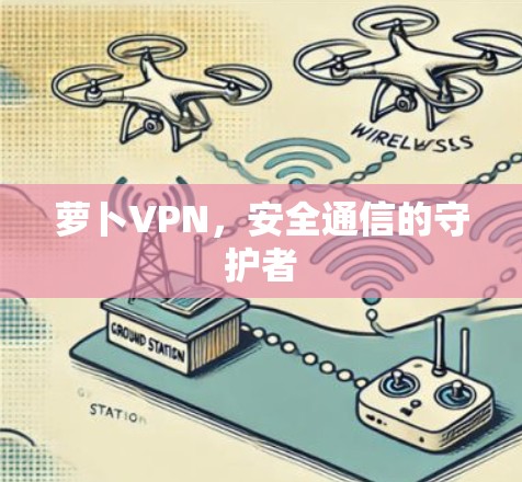 萝卜VPN，安全通信的守护者
